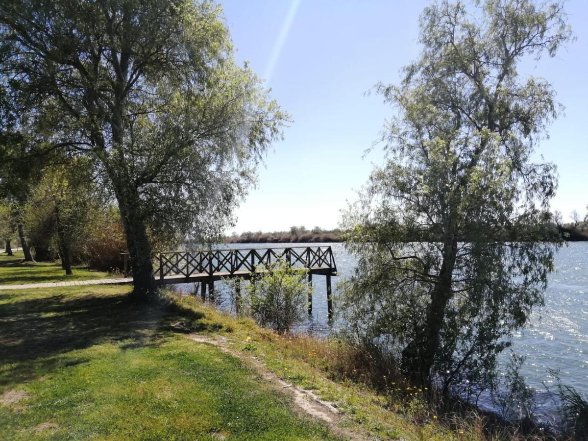 Somnis Del Delta Apartment Делтебре Екстериор снимка